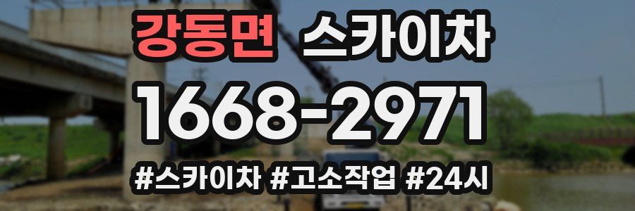 강동면 스카이차