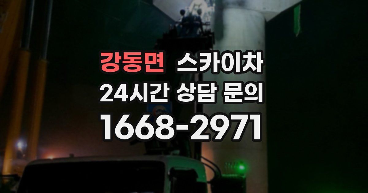 강동면 스카이차