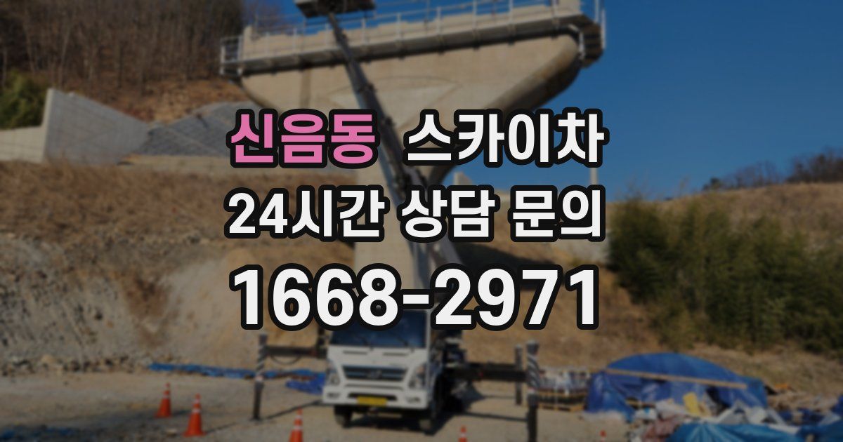 신음동 스카이차