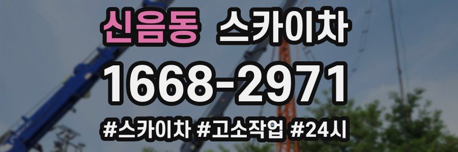 신음동 스카이차
