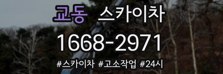 교동 스카이차