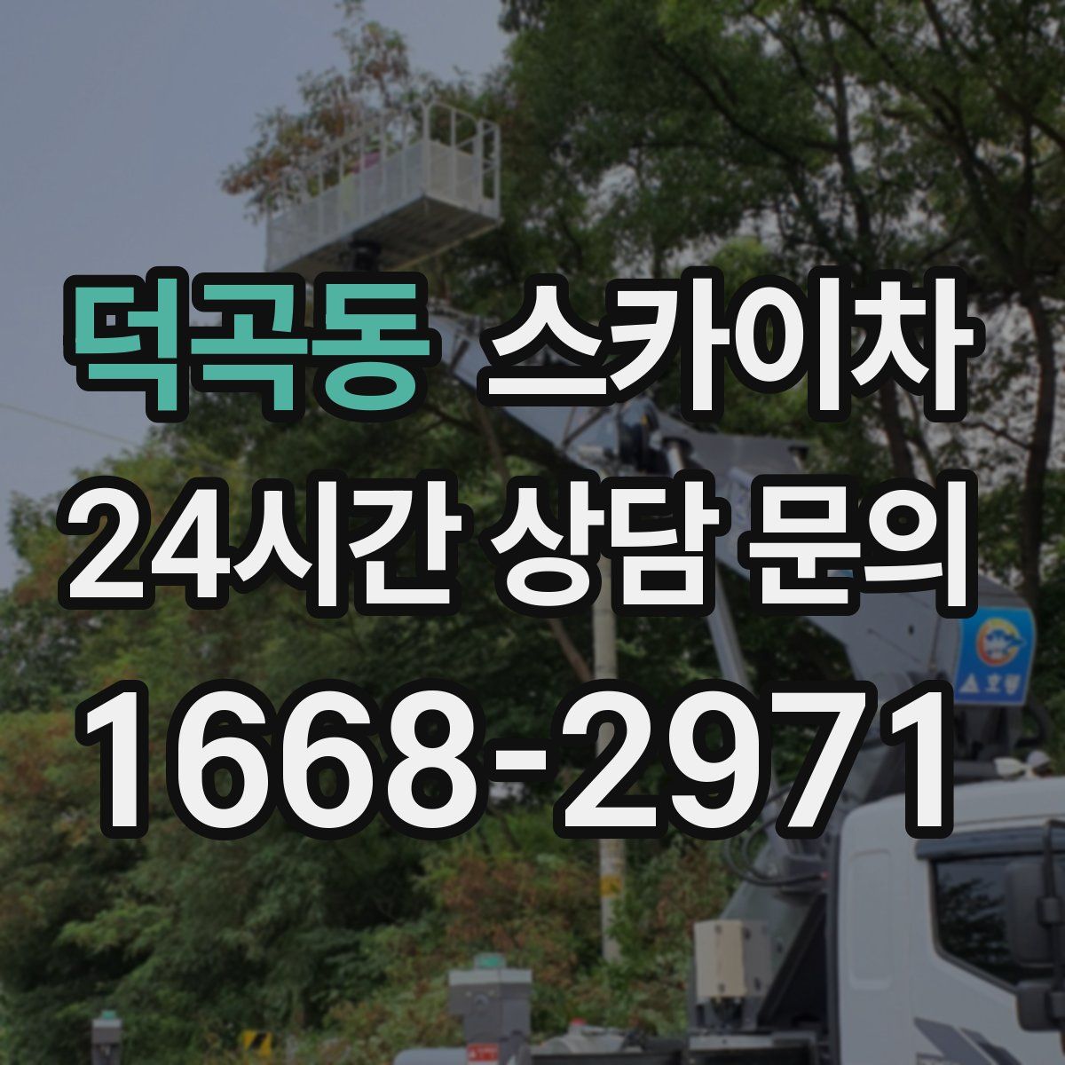 덕곡동 스카이차