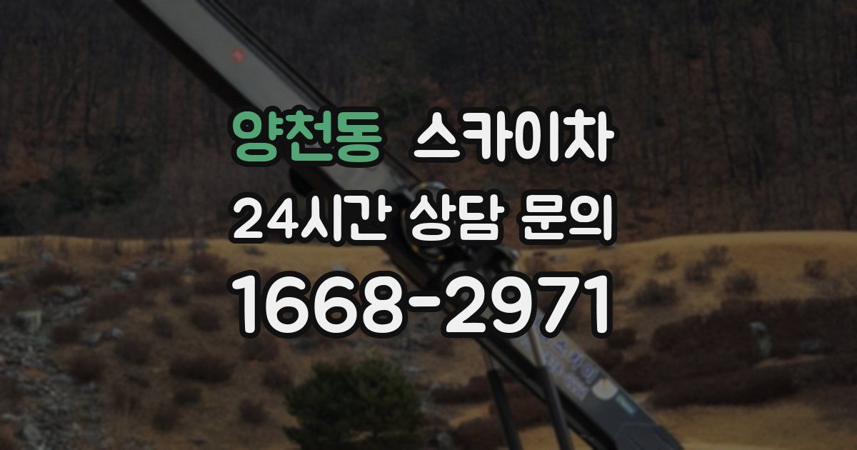 양천동 스카이차