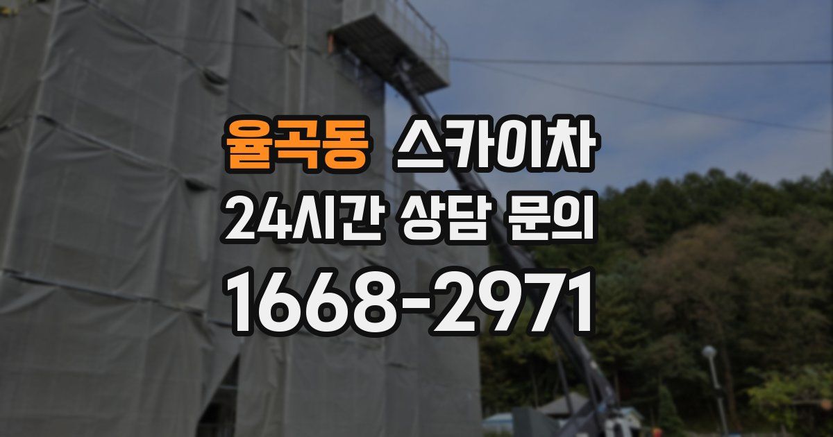 율곡동 스카이차
