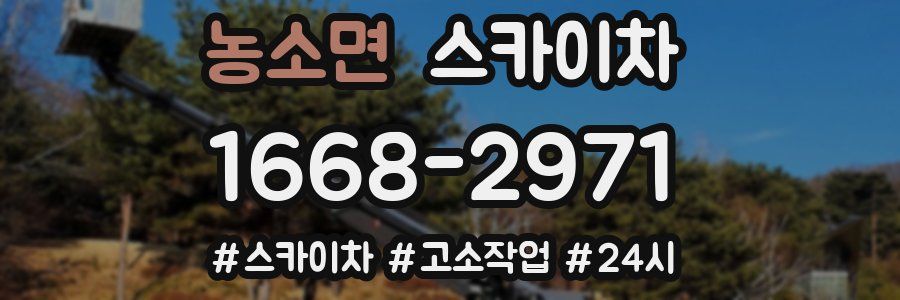 농소면 스카이차