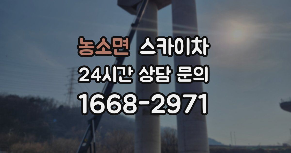 농소면 스카이차