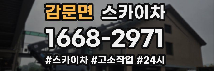감문면 스카이차