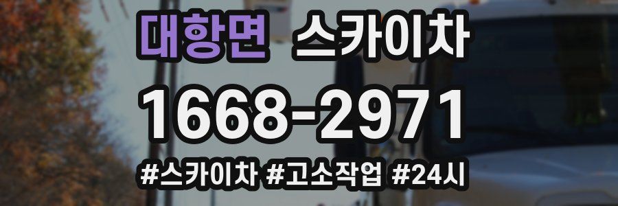 대항면 스카이차
