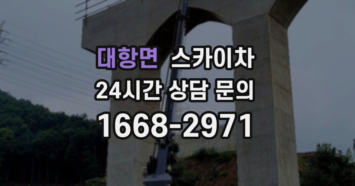 대항면 스카이차