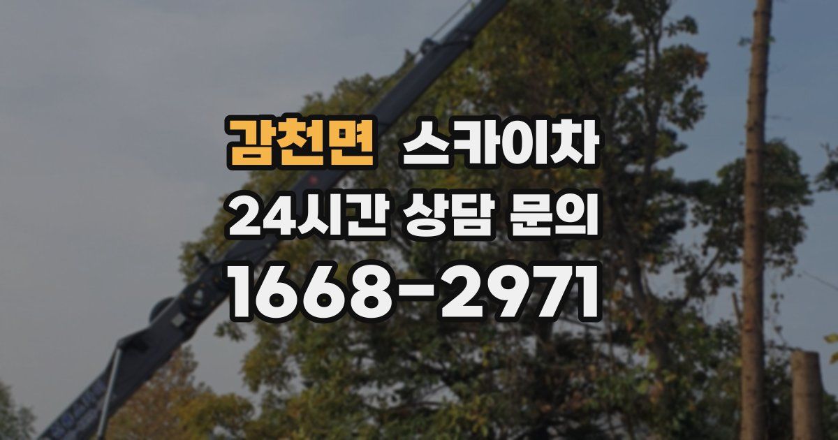 감천면 스카이차