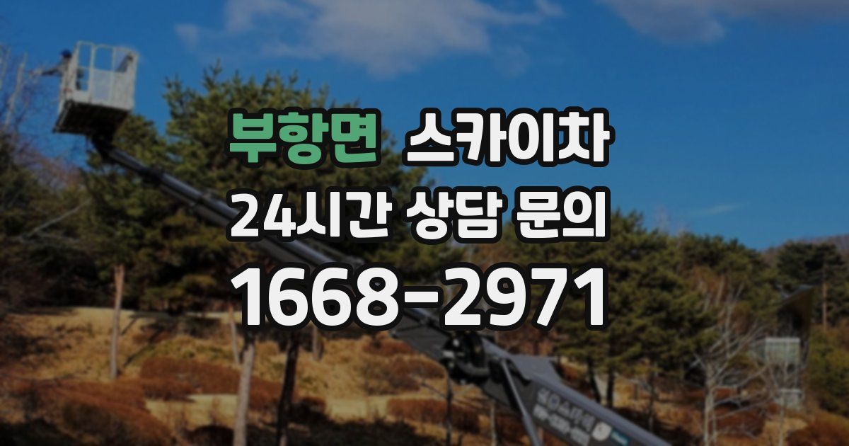 부항면 스카이차