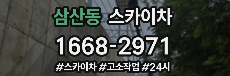 삼산동 스카이차