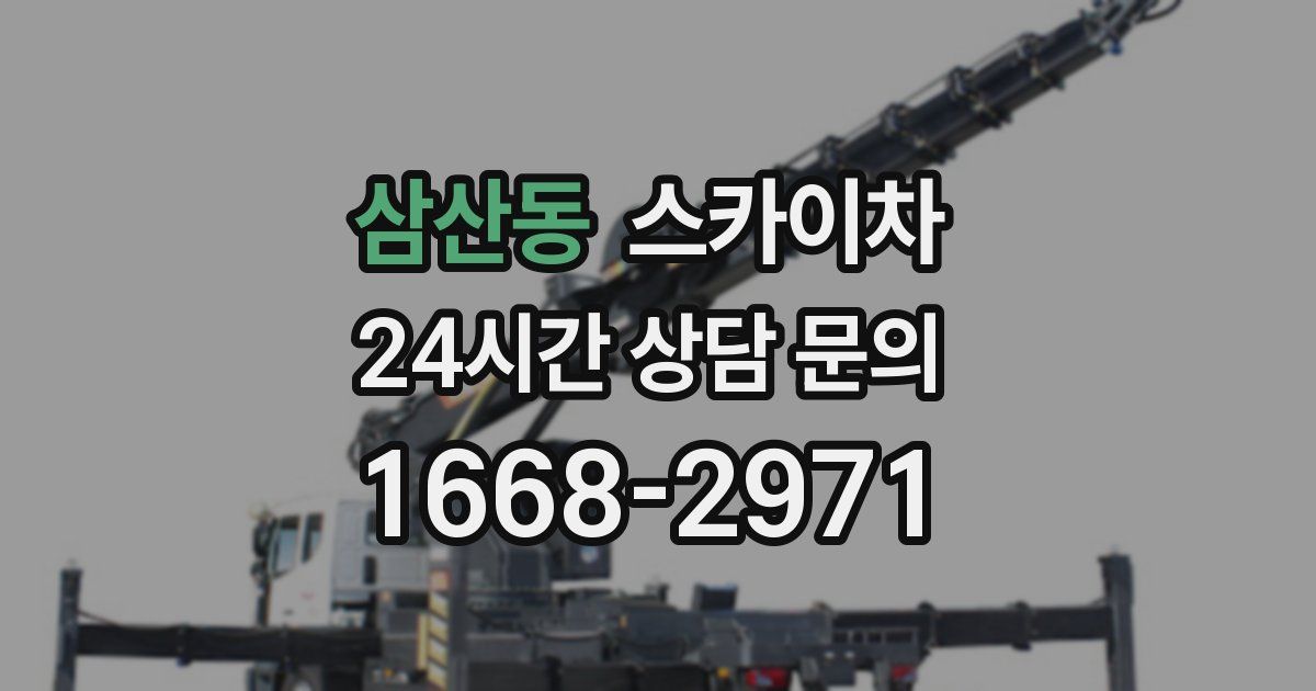 삼산동 스카이차