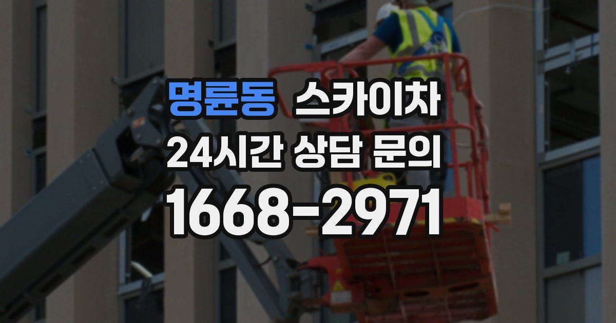 명륜동 스카이차