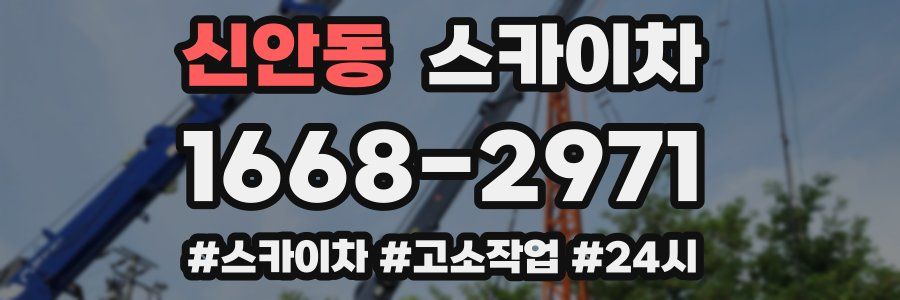 신안동 스카이차