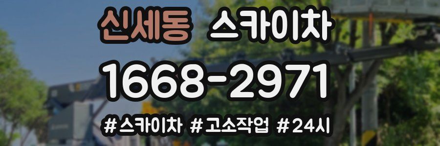신세동 스카이차