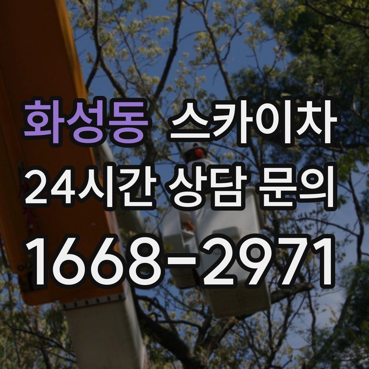 화성동 스카이차
