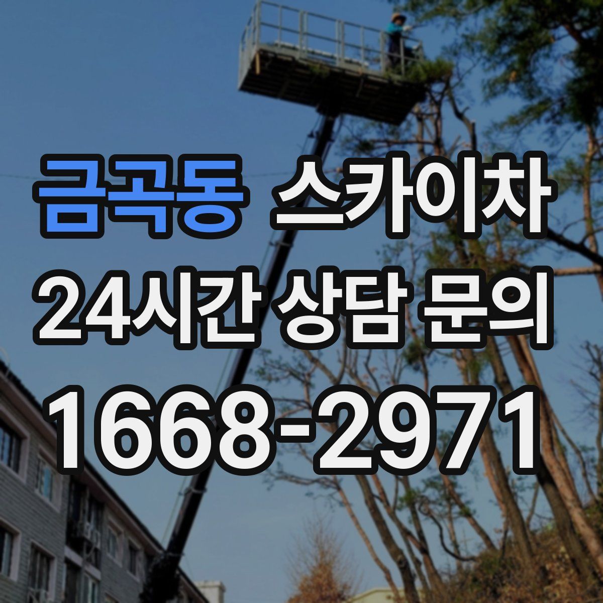금곡동 스카이차