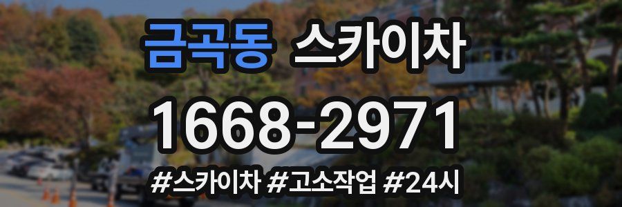 금곡동 스카이차