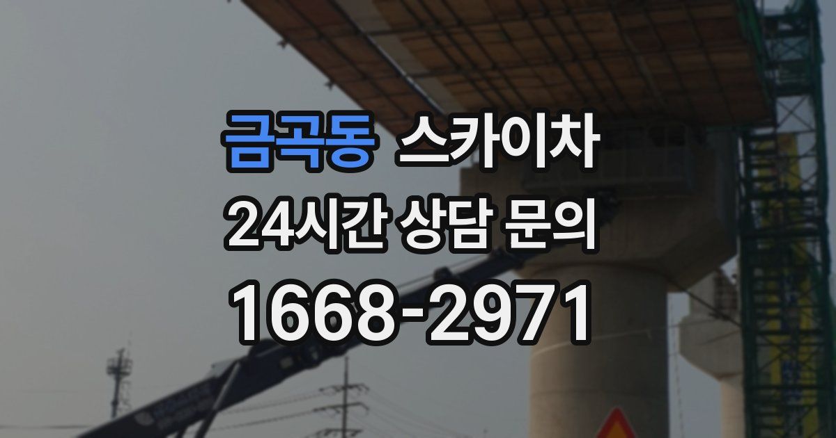 금곡동 스카이차