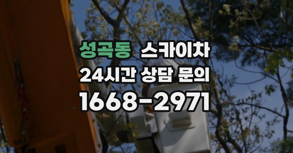 성곡동 스카이차
