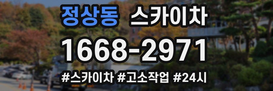 정상동 스카이차