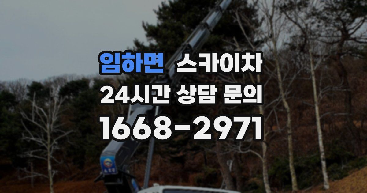 임하면 스카이차