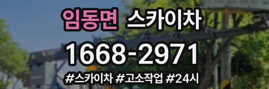 임동면 스카이차
