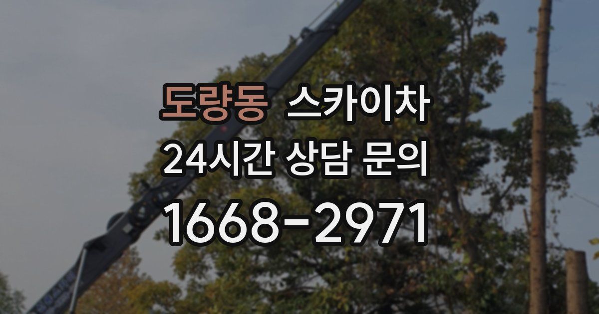 도량동 스카이차