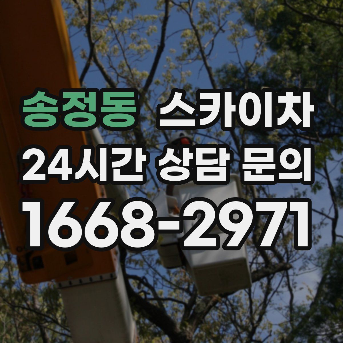 송정동 스카이차