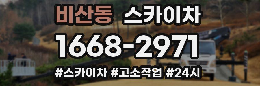 비산동 스카이차