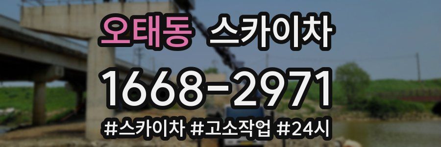 오태동 스카이차