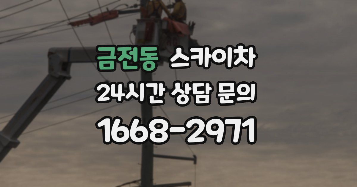 금전동 스카이차