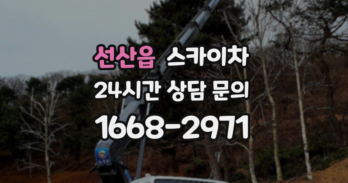 선산읍 스카이차