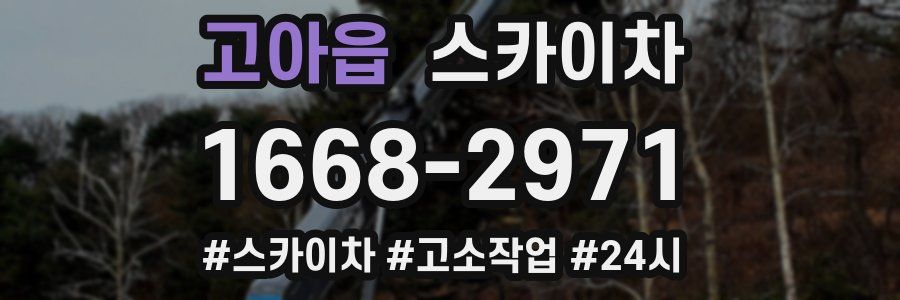 고아읍 스카이차