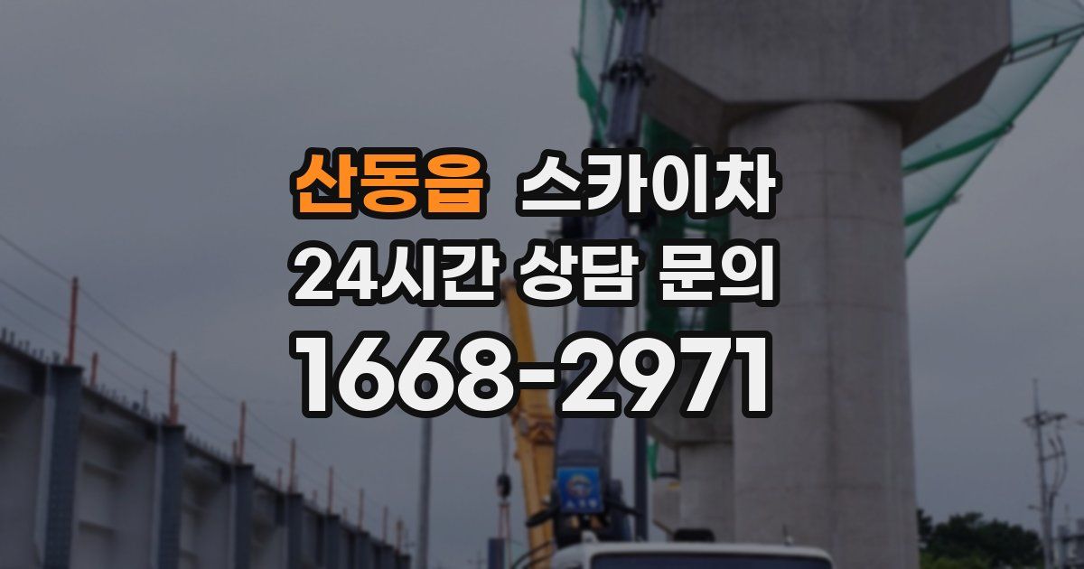 산동읍 스카이차