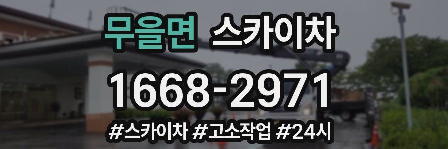 무을면 스카이차