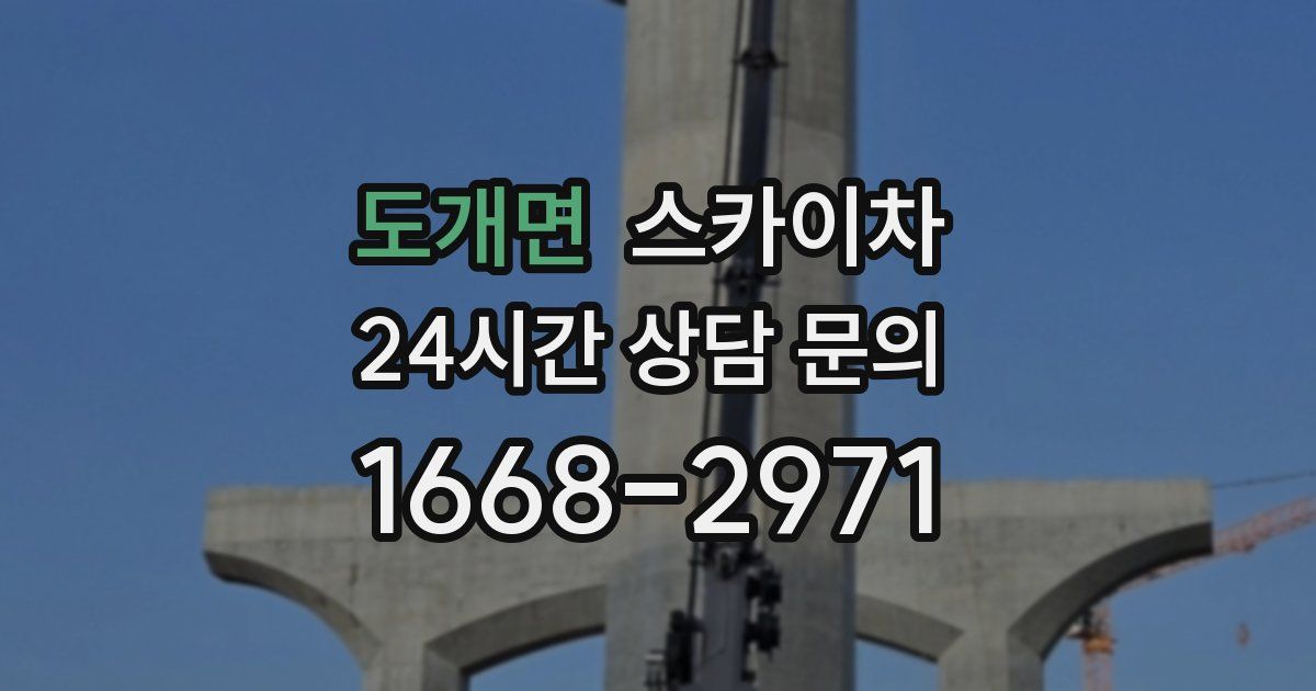 도개면 스카이차