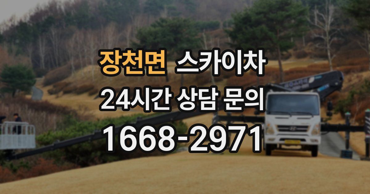 장천면 스카이차