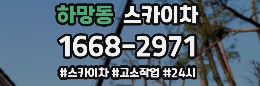 하망동 스카이차