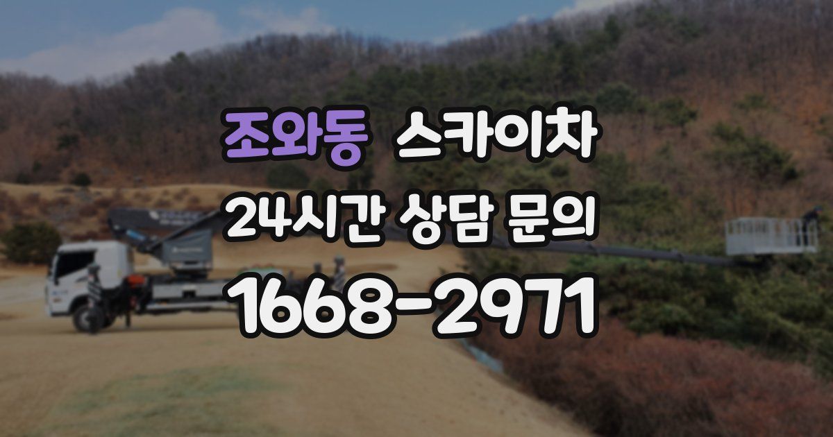 조와동 스카이차