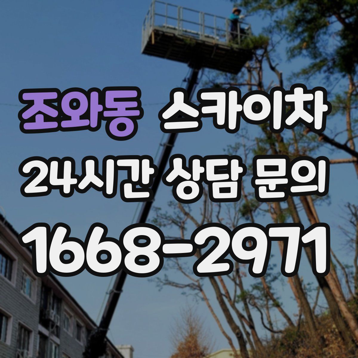 조와동 스카이차