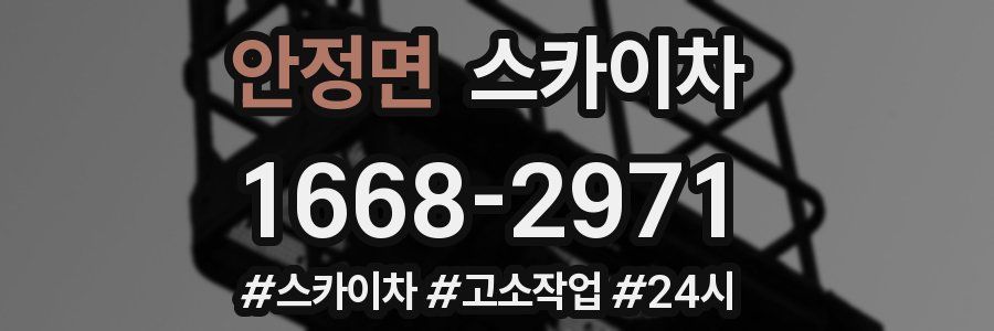 안정면 스카이차