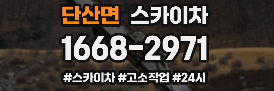 단산면 스카이차