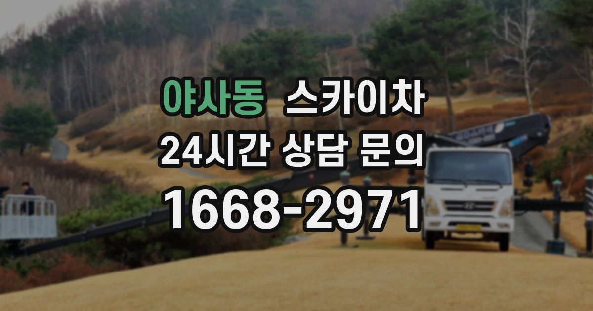 야사동 스카이차