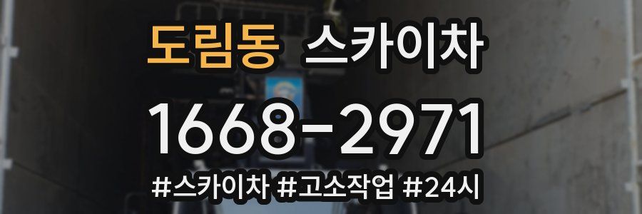도림동 스카이차