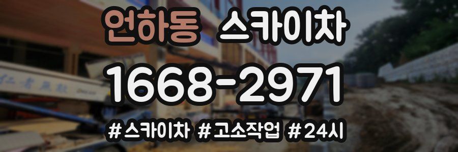 언하동 스카이차