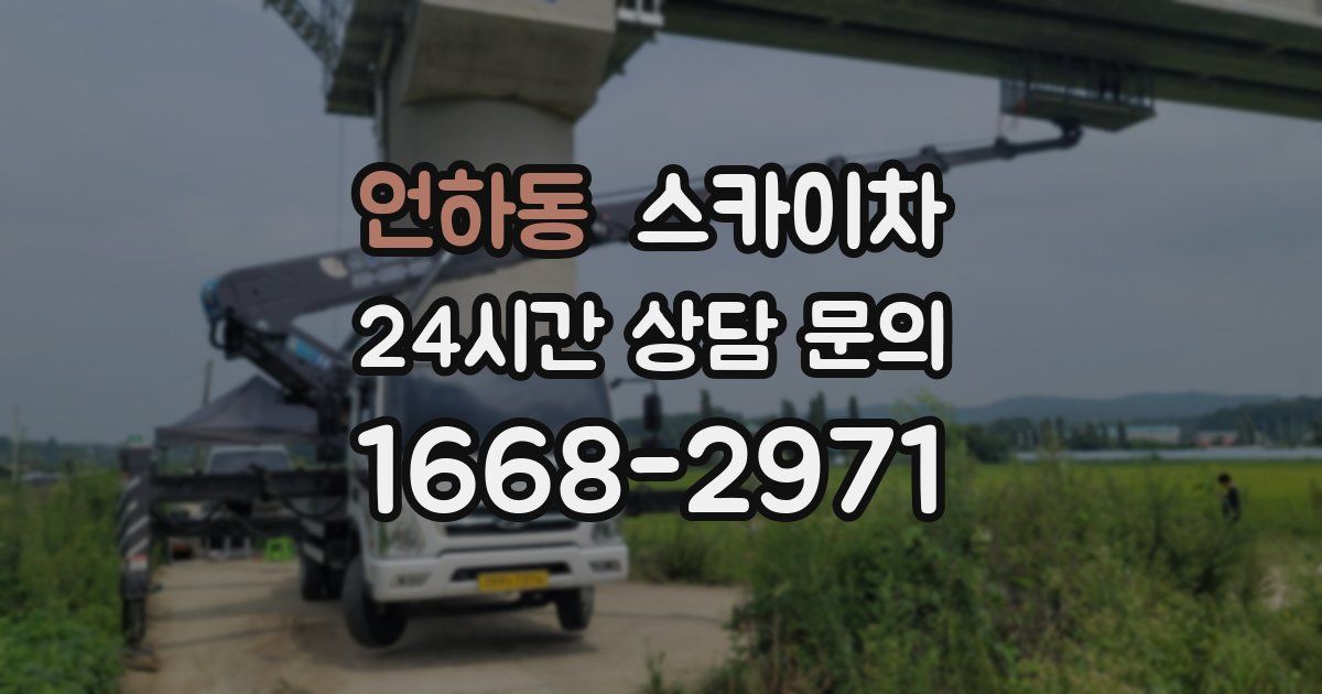언하동 스카이차