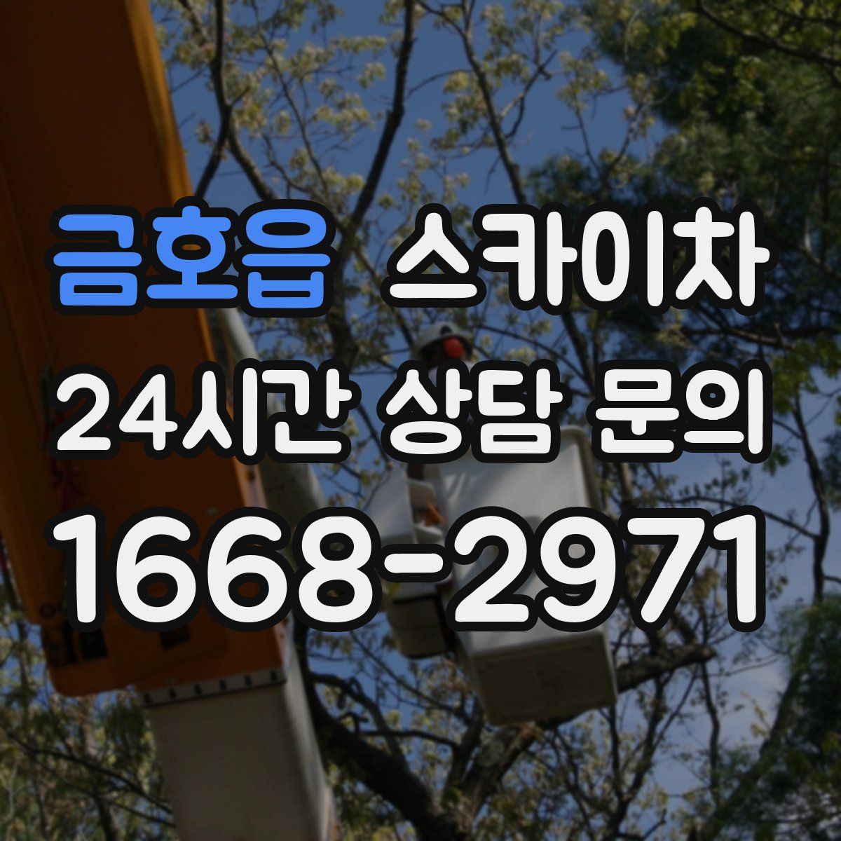 금호읍 스카이차