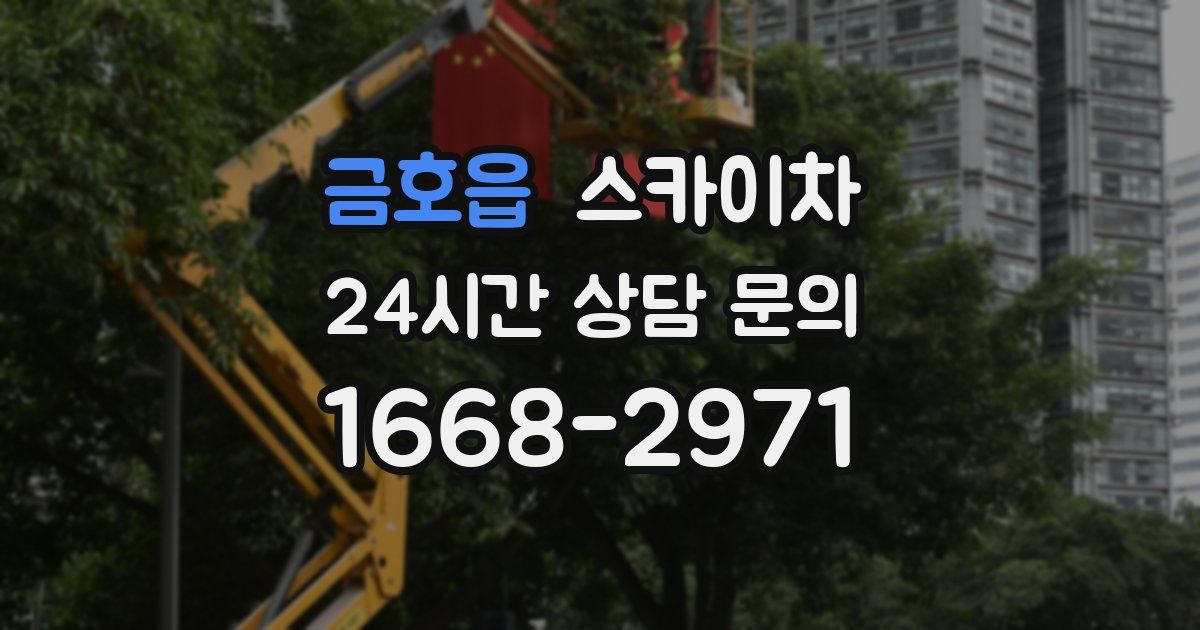 금호읍 스카이차